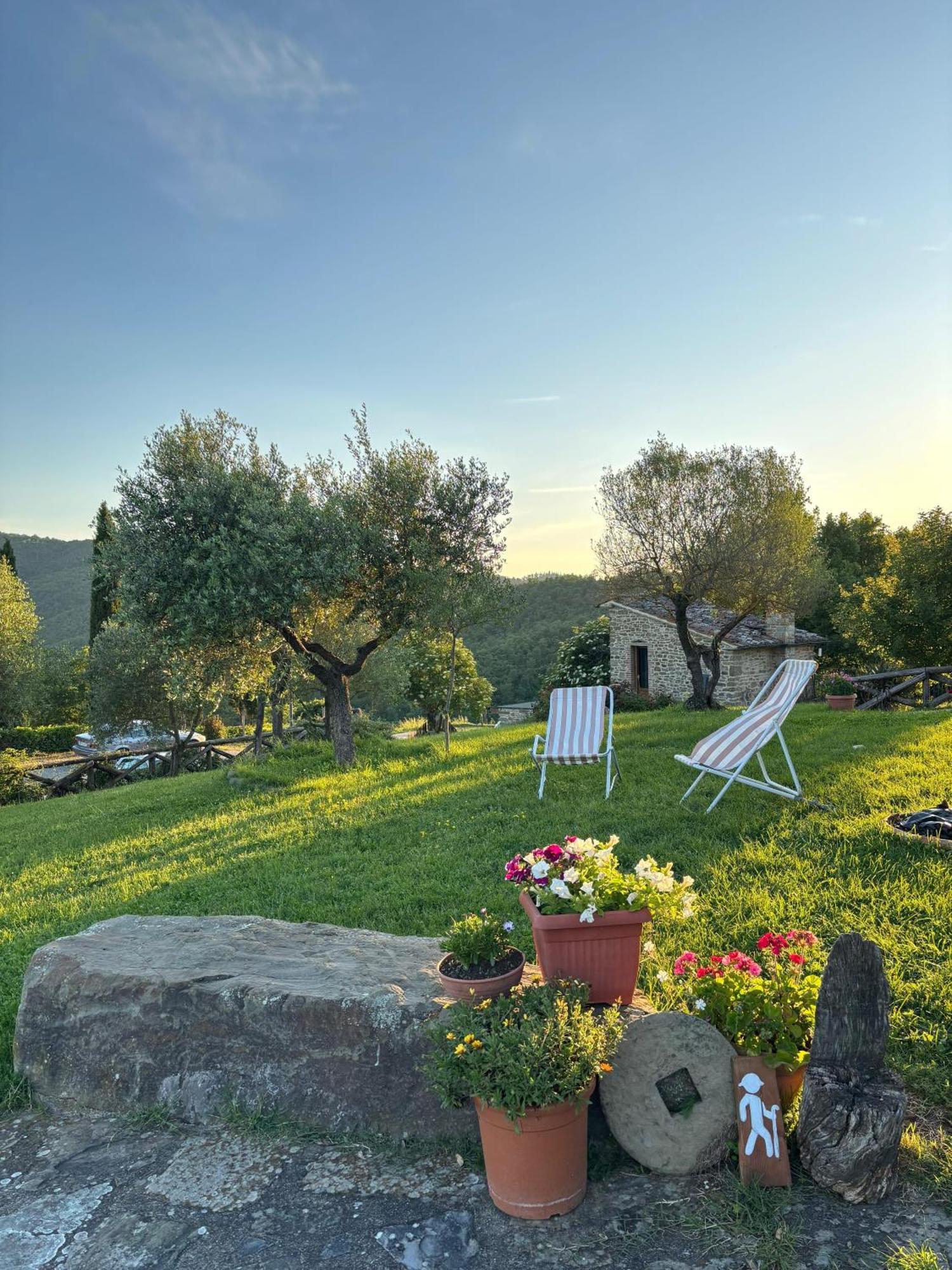 Agriturismo D'Ambiano Arezzo Exterior photo
