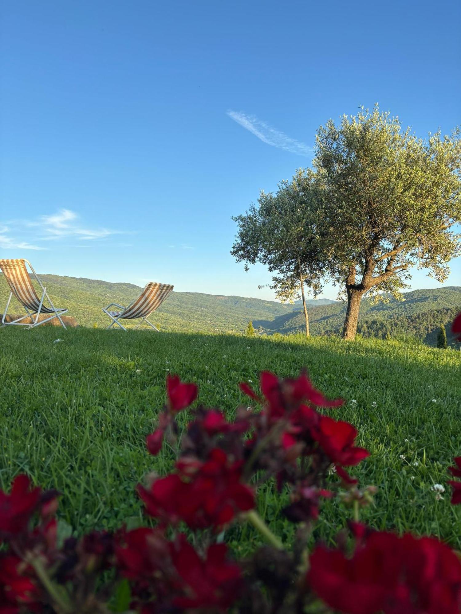 Agriturismo D'Ambiano Arezzo Exterior photo